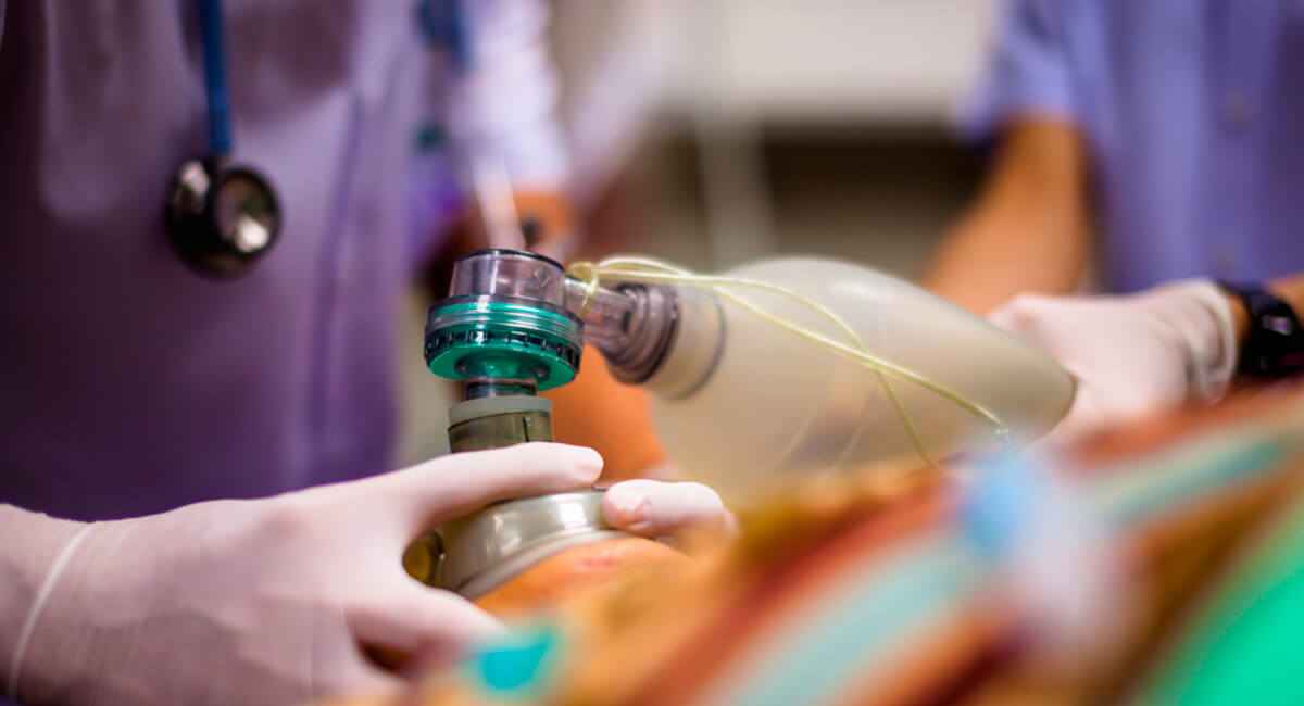 Foto de: Diplomado universitario internacional en enfermería en la unidad de cuidados intensivos