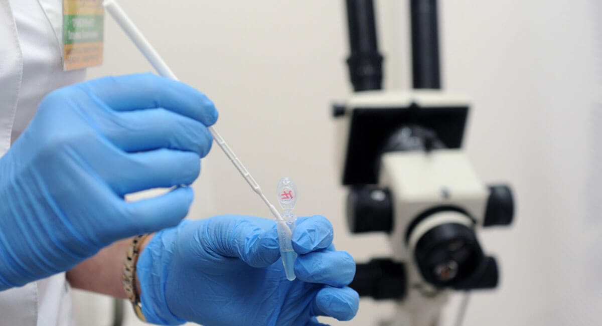 Foto de: Curso internacional en detección y análisis de enfermedades infecciosas ginecológicas y de transmisión sexual